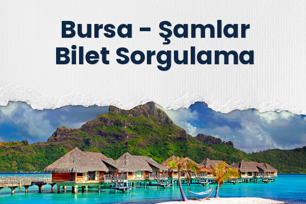 Bursa → Şamlar Bilet Sorgulama