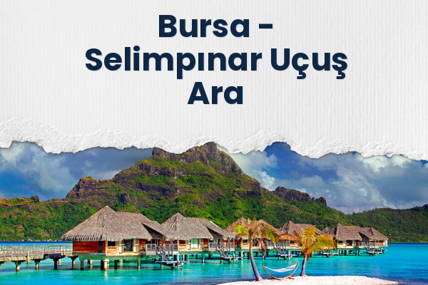 Bursa → Selimpınar Uçuş Ara