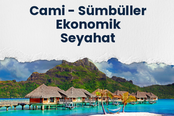 Cami → Sümbüller Ekonomik Seyahat