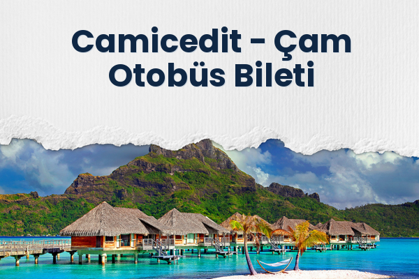 Camicedit → Çam Otobüs Bileti