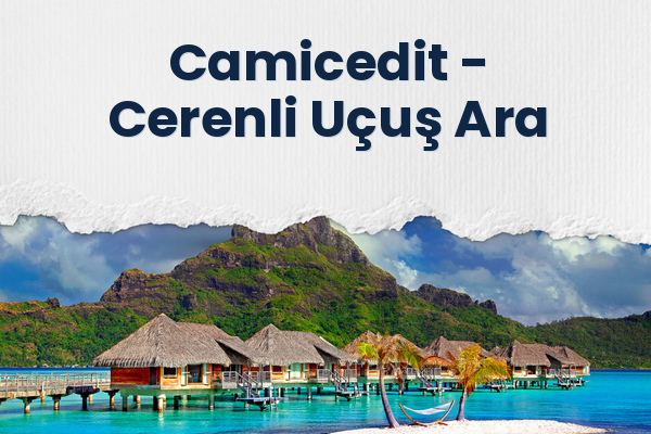 Camicedit → Cerenli Uçuş Ara