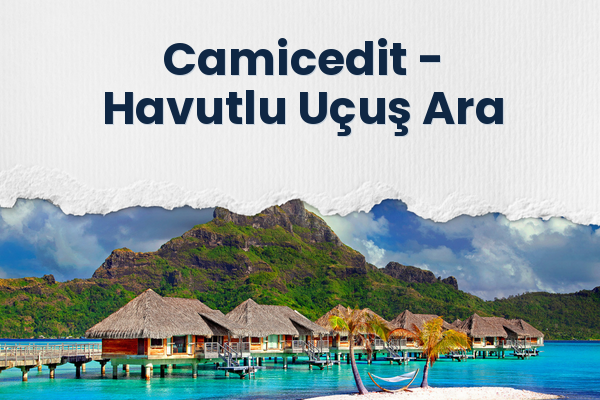 Camicedit → Havutlu Uçuş Ara