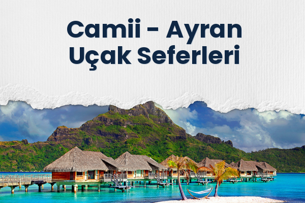 Camii → Ayran Uçak Seferleri