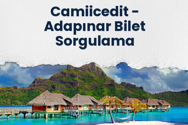 Camiicedit → Adapınar Bilet Sorgulama