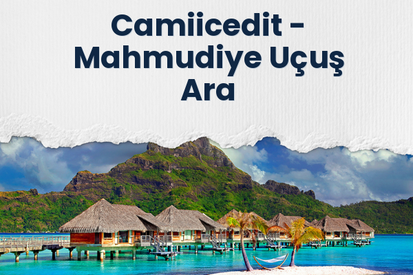 Camiicedit → Mahmudiye Uçuş Ara