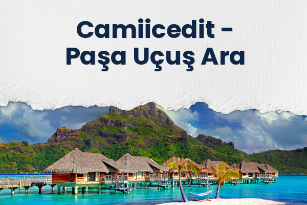 Camiicedit → Paşa Uçuş Ara