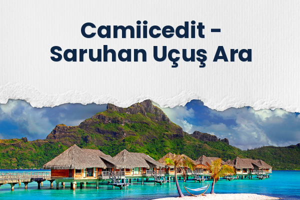 Camiicedit → Saruhan Uçuş Ara