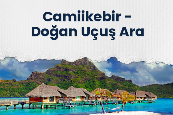 Camiikebir → Doğan Uçuş Ara