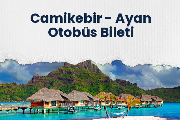 Camikebir → Ayan Otobüs Bileti