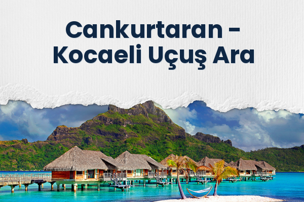 Cankurtaran → Kocaeli Uçuş Ara