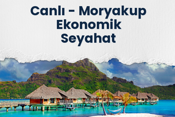 Canlı → Moryakup Ekonomik Seyahat