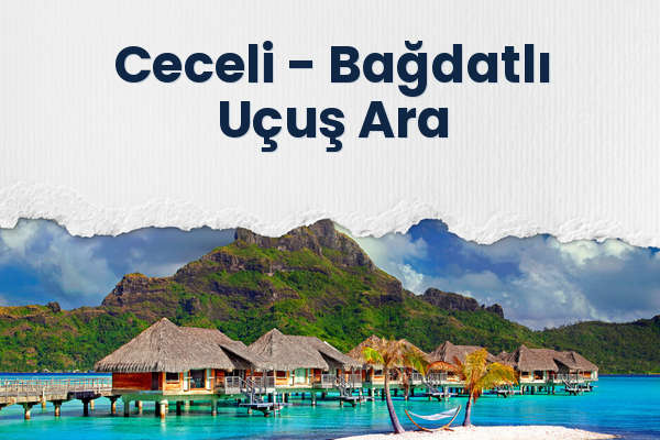 Ceceli → Bağdatlı Uçuş Ara