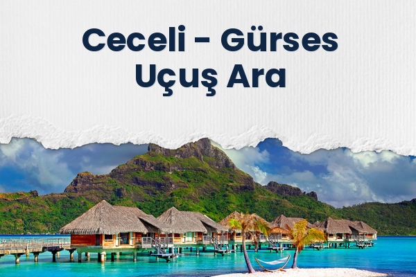 Ceceli → Gürses Uçuş Ara