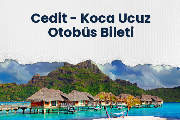 Cedit → Koca Ucuz Otobüs Bileti