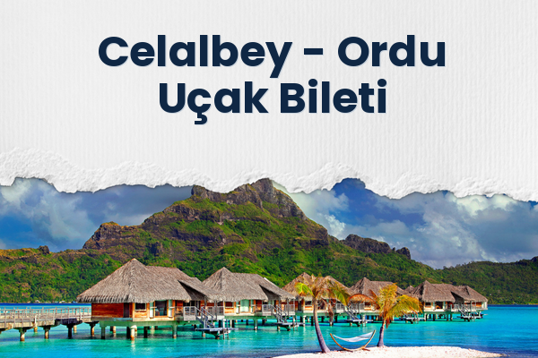 Celalbey → Ordu Uçak Bileti
