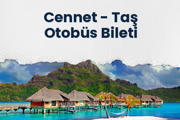 Cennet → Taş Otobüs Bileti