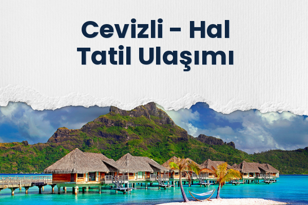Cevizli → Hal Tatil Ulaşımı