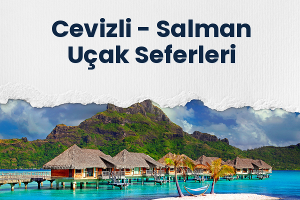 Cevizli → Salman Uçak Seferleri