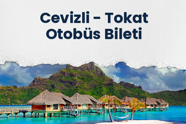Cevizli → Tokat Otobüs Bileti