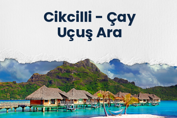 Cikcilli → Çay Uçuş Ara