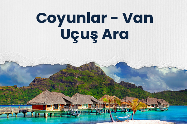 Coyunlar → Van Uçuş Ara