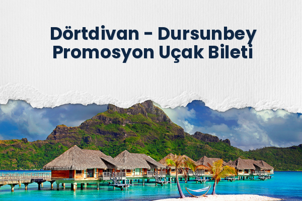 Dörtdivan → Dursunbey Promosyon Uçak Bileti