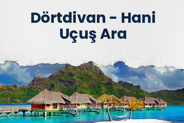 Dörtdivan → Hani Uçuş Ara