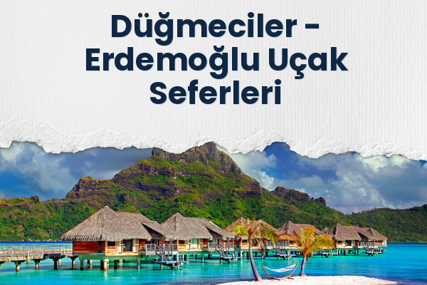Düğmeciler → Erdemoğlu Uçak Seferleri