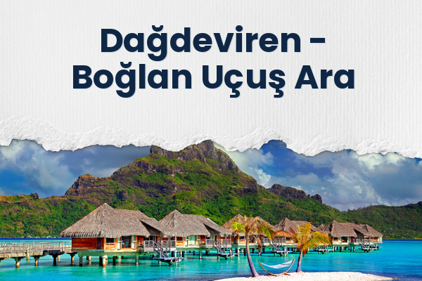 Dağdeviren → Boğlan Uçuş Ara