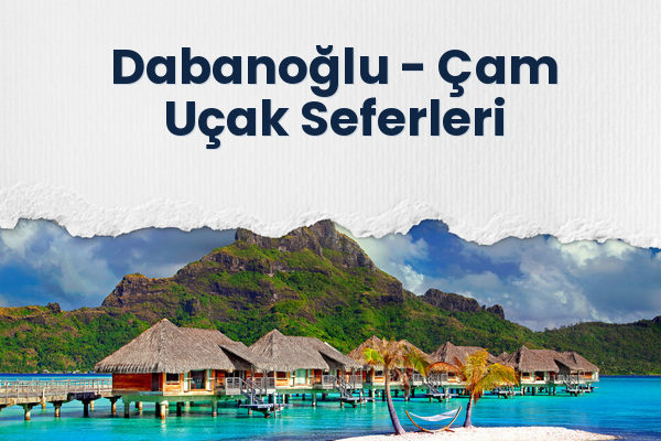Dabanoğlu → Çam Uçak Seferleri
