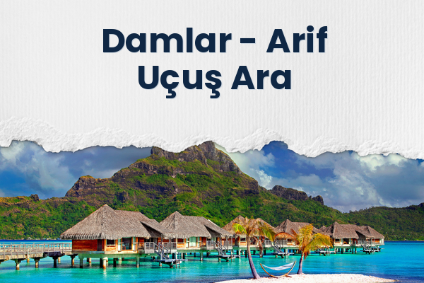 Damlar → Arif Uçuş Ara