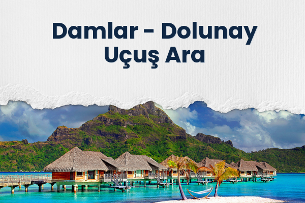 Damlar → Dolunay Uçuş Ara