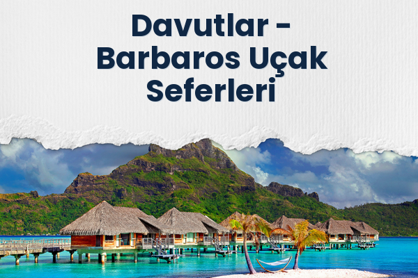 Davutlar → Barbaros Uçak Seferleri