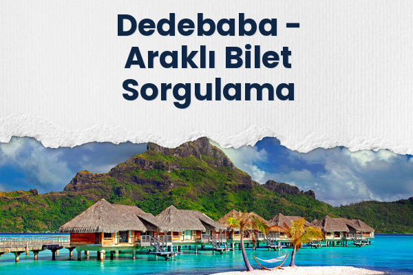 Dedebaba → Araklı Bilet Sorgulama