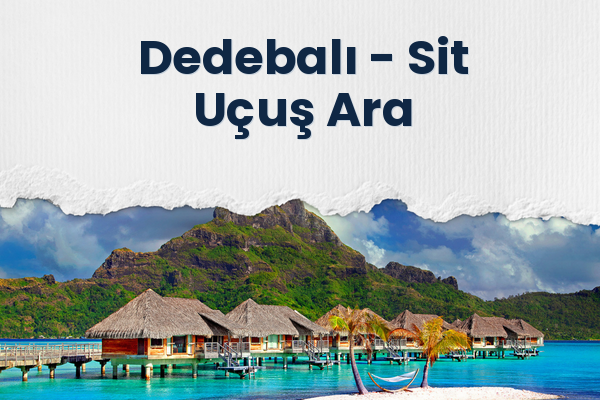 Dedebalı → Sit Uçuş Ara