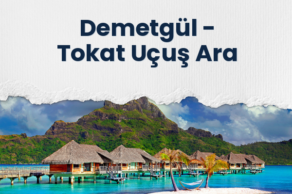 Demetgül → Tokat Uçuş Ara