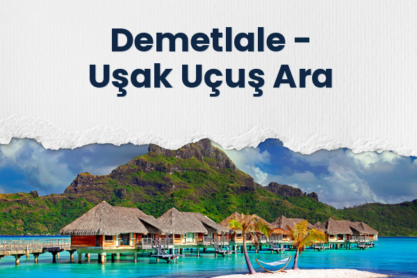 Demetlale → Uşak Uçuş Ara
