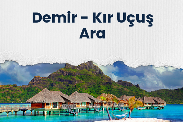 Demir → Kır Uçuş Ara