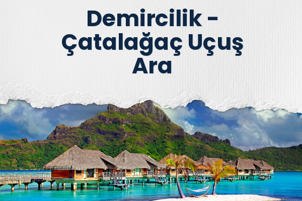 Demircilik → Çatalağaç Uçuş Ara