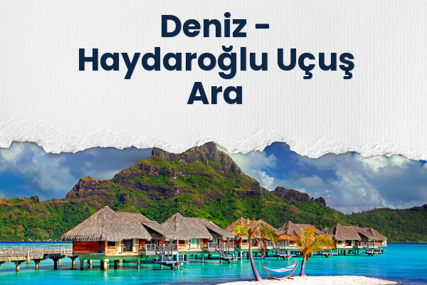 Deniz → Haydaroğlu Uçuş Ara
