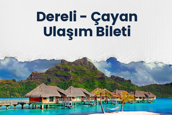 Dereli → Çayan Ulaşım Bileti