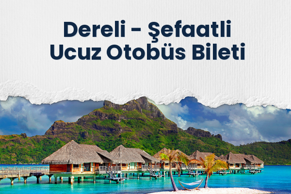 Dereli → Şefaatli Ucuz Otobüs Bileti