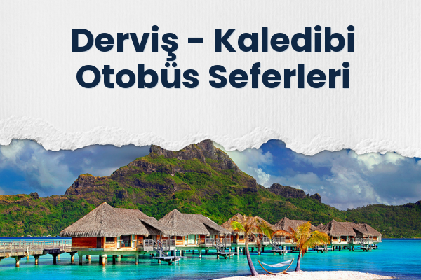 Derviş → Kaledibi Otobüs Seferleri