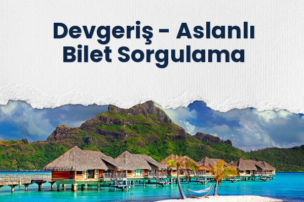 Devgeriş → Aslanlı Bilet Sorgulama