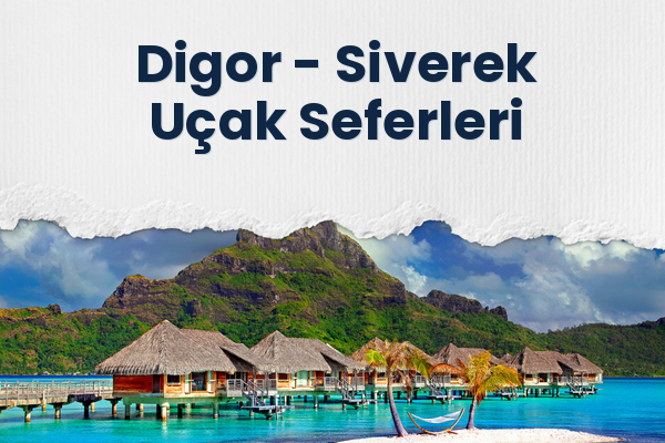 Digor → Siverek Uçak Seferleri