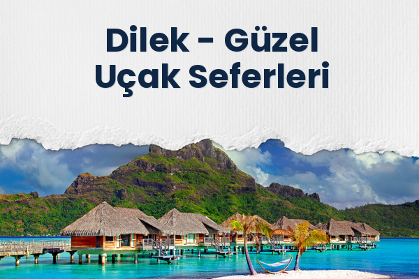 Dilek → Güzel Uçak Seferleri