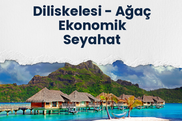 Diliskelesi → Ağaç Ekonomik Seyahat