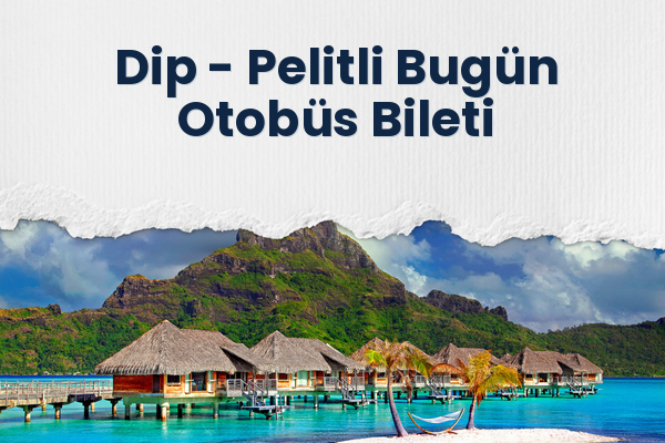 Dip → Pelitli Bugün Otobüs Bileti