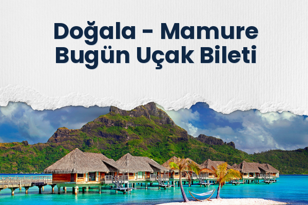 Doğala → Mamure Bugün Uçak Bileti