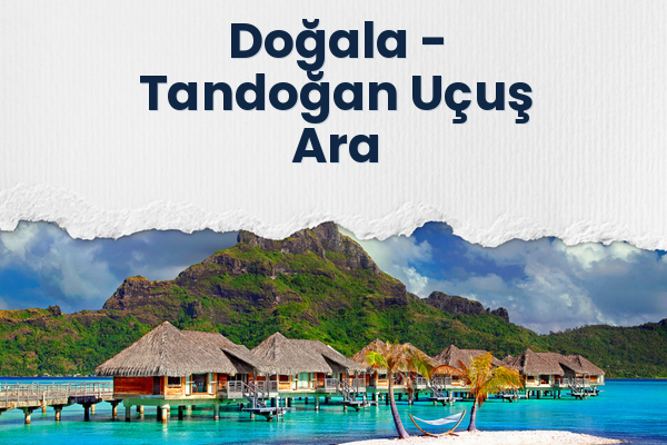 Doğala → Tandoğan Uçuş Ara